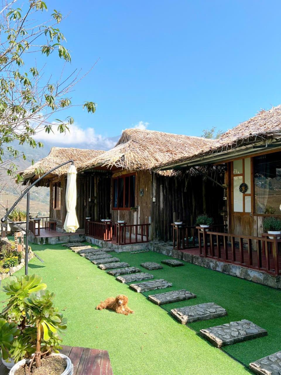 Sapa Eco Hugo Bed and Breakfast Εξωτερικό φωτογραφία